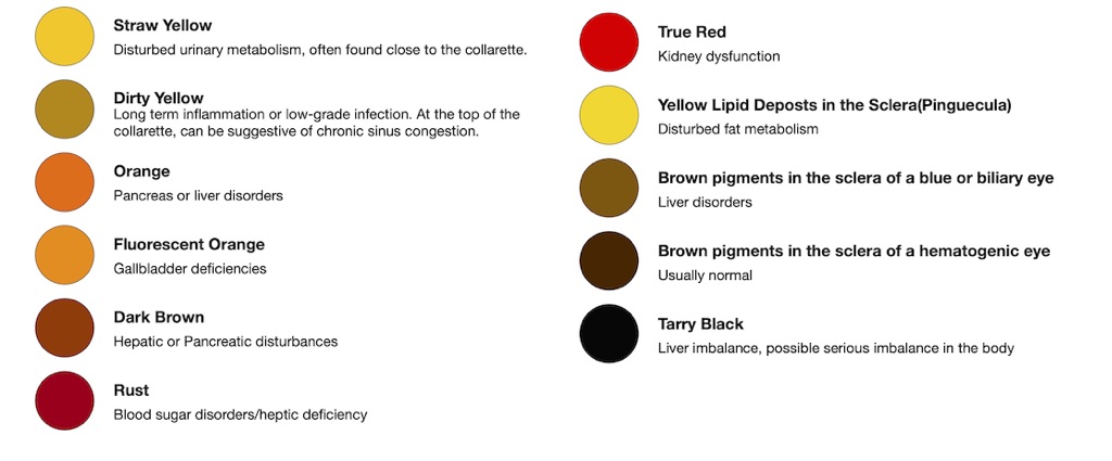 Pigments Pigments