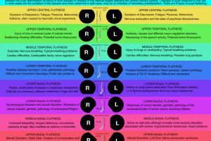 Pupillary Flatten Chart