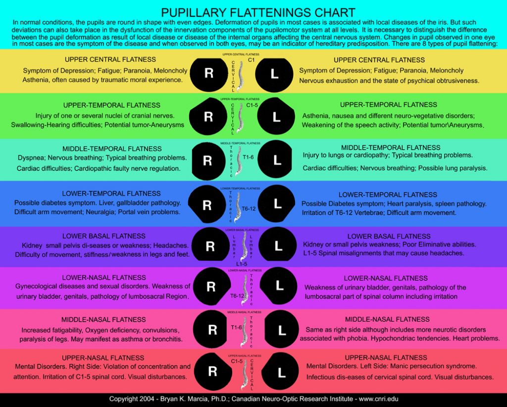 Pupillary Flatten Chart