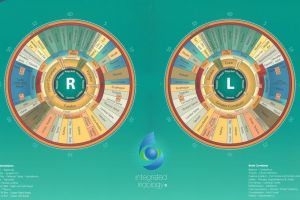 Integrated Iridology Chart by Toni Miller