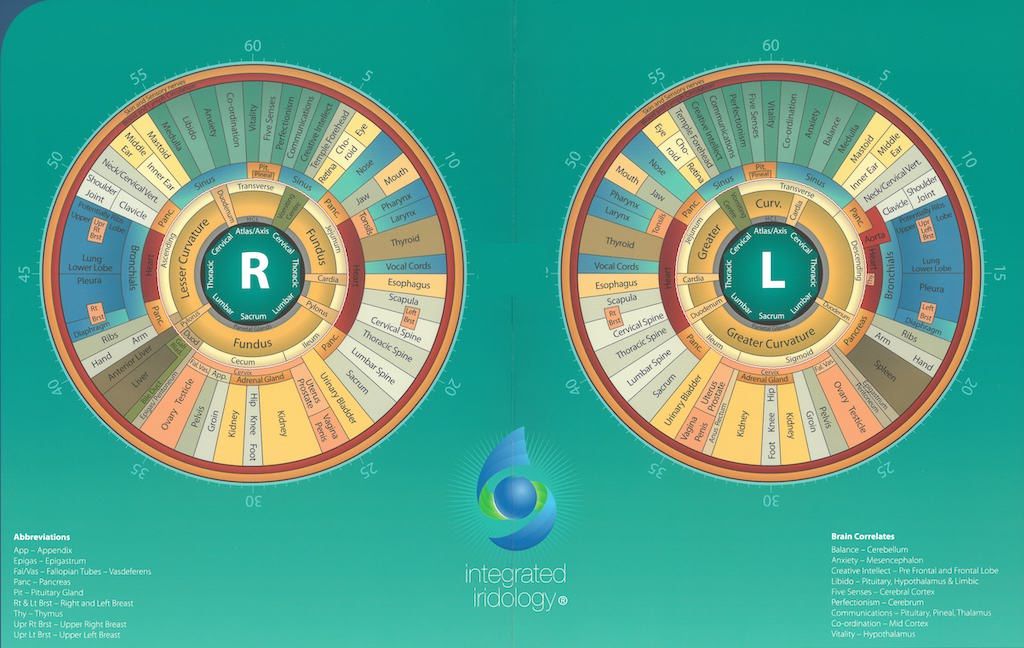 Integrated Iridology Chart by Toni Miller