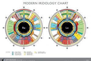 Modern Iridology Chart John Andrews