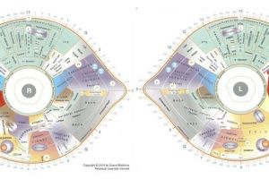 Sclerology chart