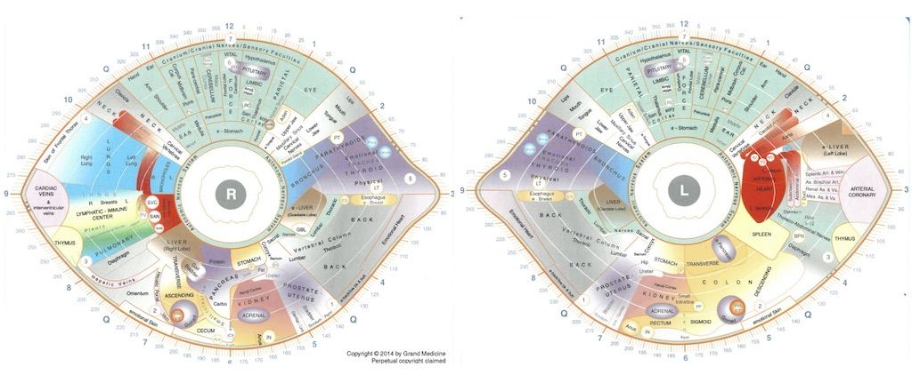 Sclerology chart