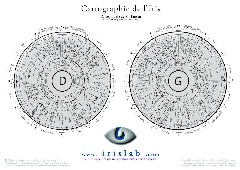 IrisWallChart FR Jensen