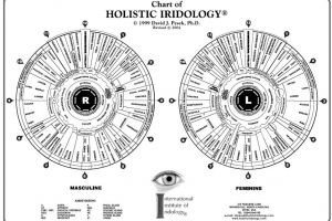 Holistic Iridology Chart